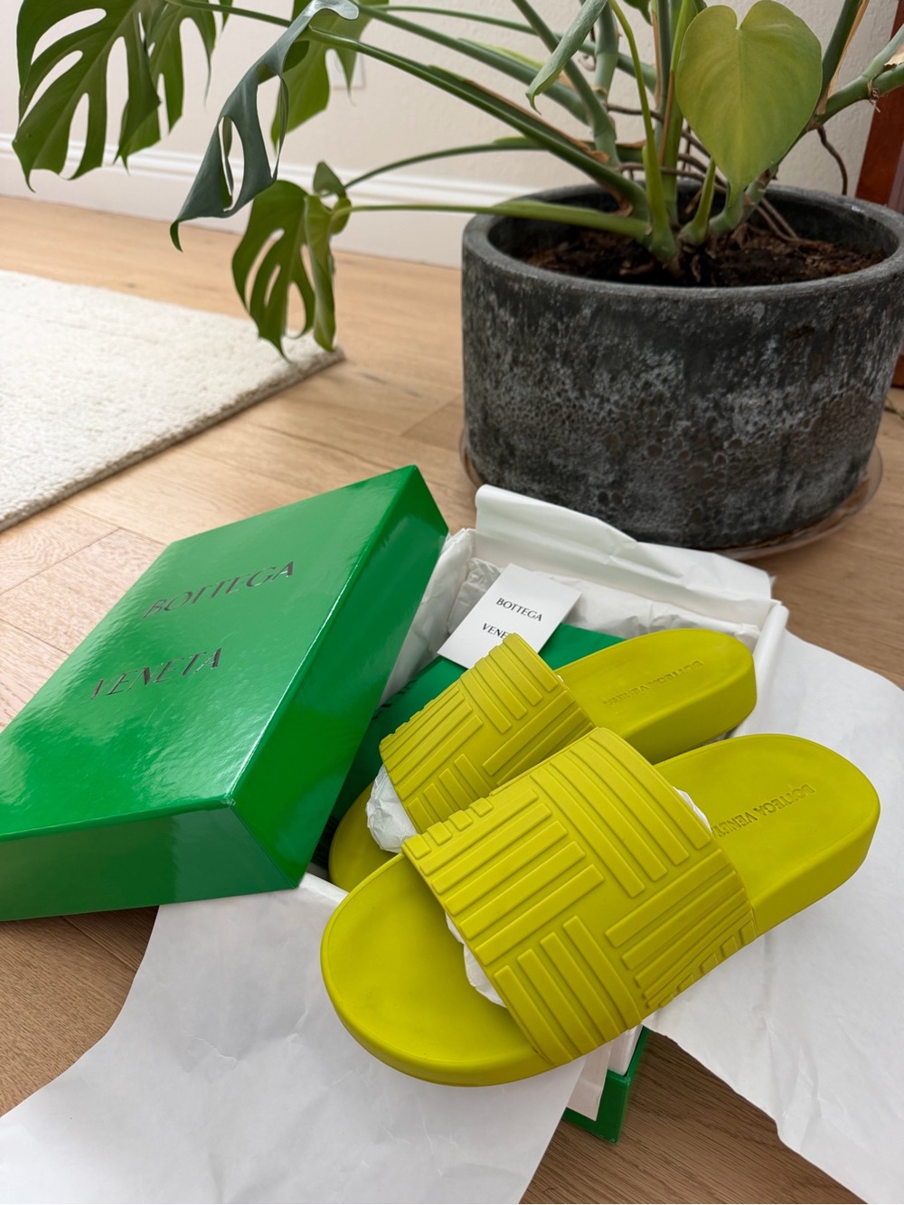 Bottega Veneta Rubber Slides in Kiwi